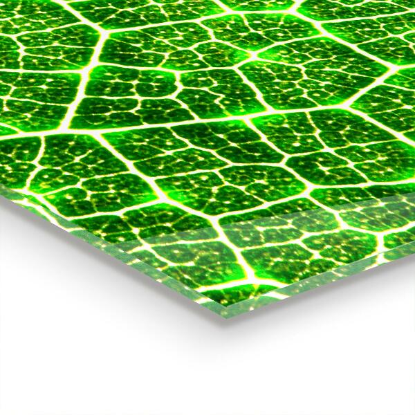 Kitchen glass panel The power of green botany