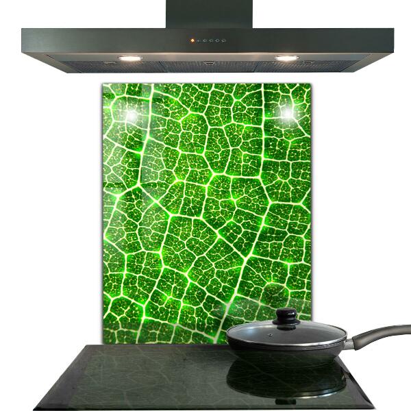 Kitchen glass panel The power of green botany