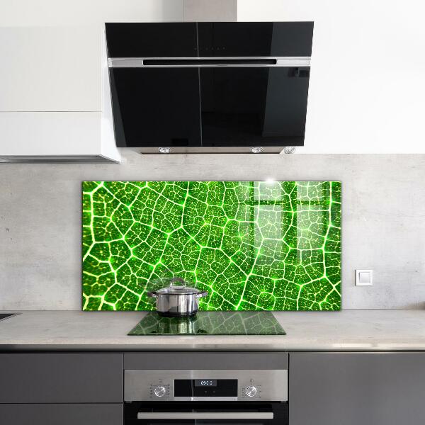 Kitchen glass panel The power of green botany