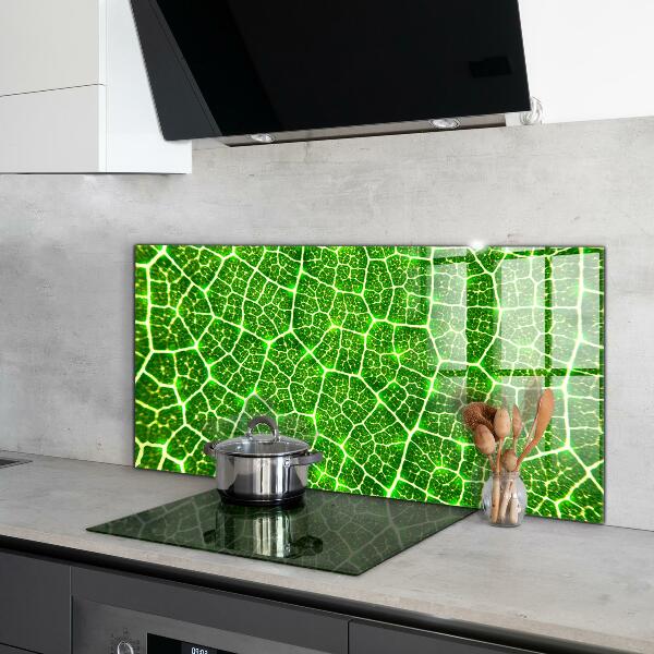 Kitchen glass panel The power of green botany