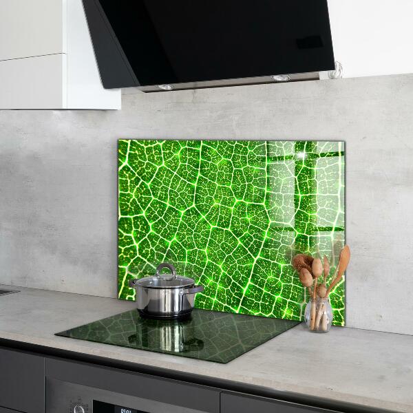 Kitchen glass panel The power of green botany