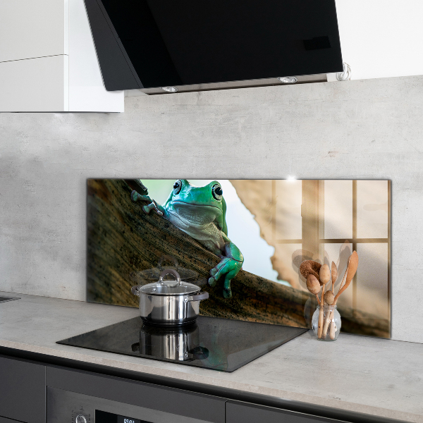 Kitchen wall panels African frog portrait
