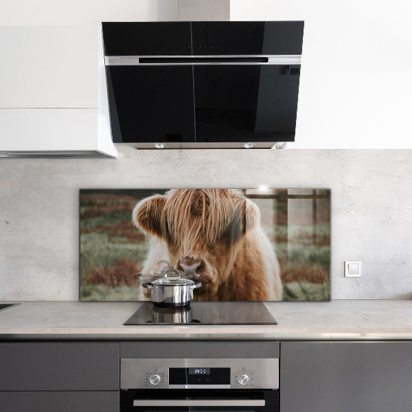 Kitchen wall panels Highland cottage style cow