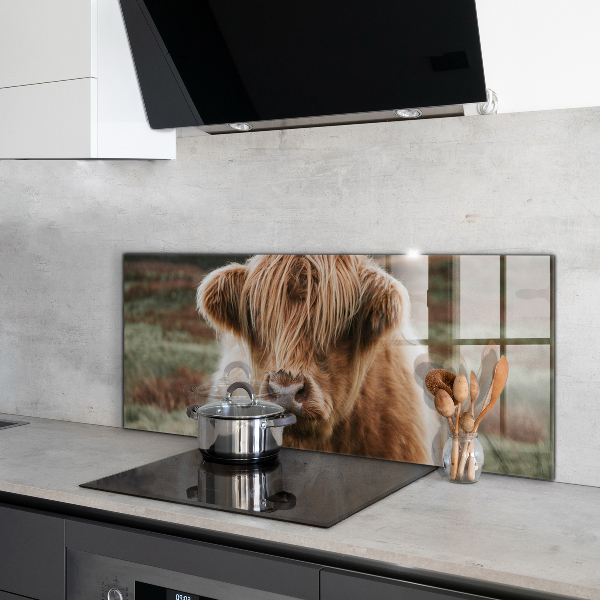 Kitchen wall panels Highland cottage style cow