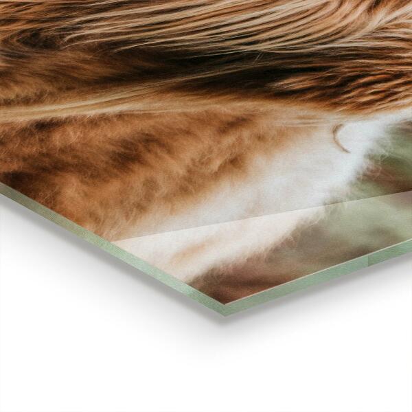 Kitchen wall panels Highland cottage style cow