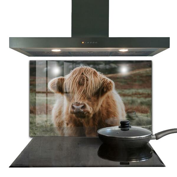 Kitchen wall panels Highland cottage style cow