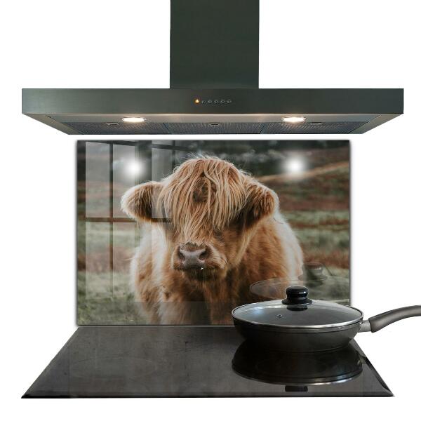 Kitchen wall panels Highland cottage style cow