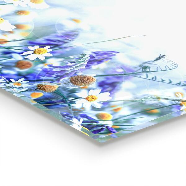 Kitchen glass panel Summer meadow butterfly flower