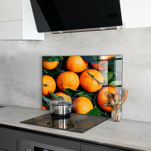 Kitchen wall panels Juicy sicilian oranges