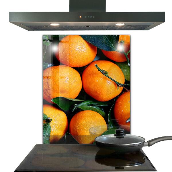 Kitchen wall panels Juicy sicilian oranges