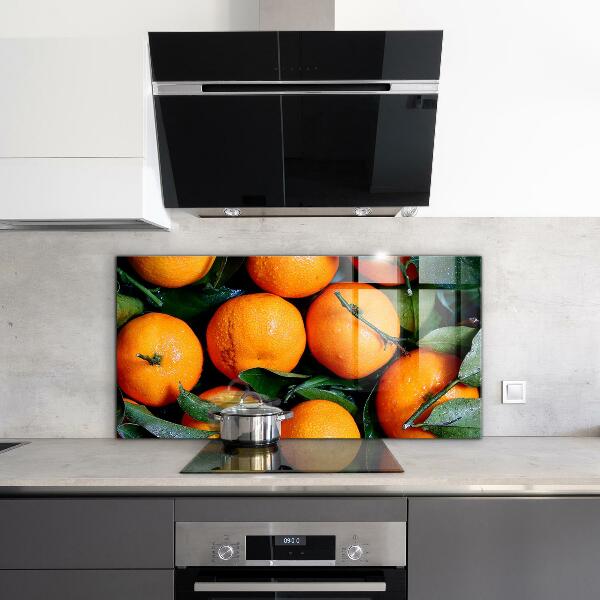 Kitchen wall panels Juicy sicilian oranges