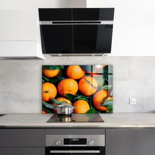 Kitchen wall panels Juicy sicilian oranges