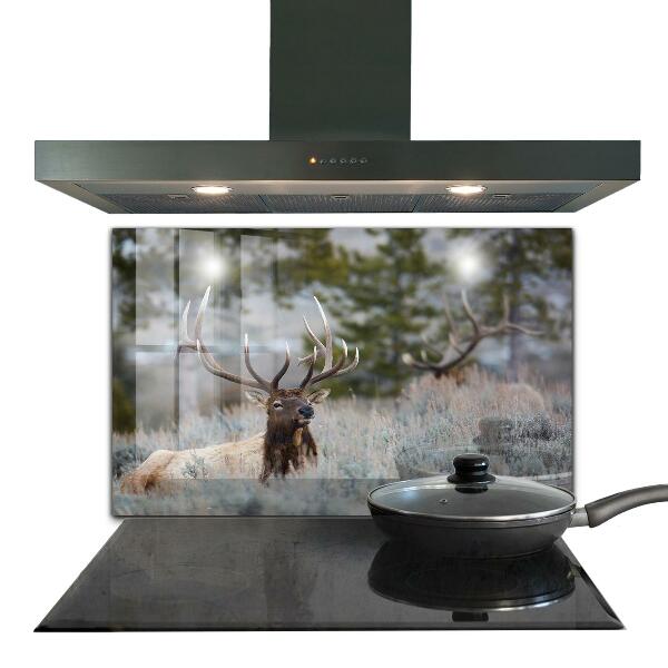 Kitchen wall panels Deer wildlife