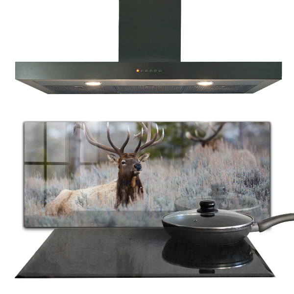 Kitchen wall panels Deer wildlife