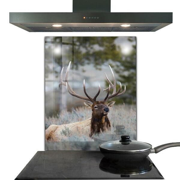 Kitchen wall panels Deer wildlife