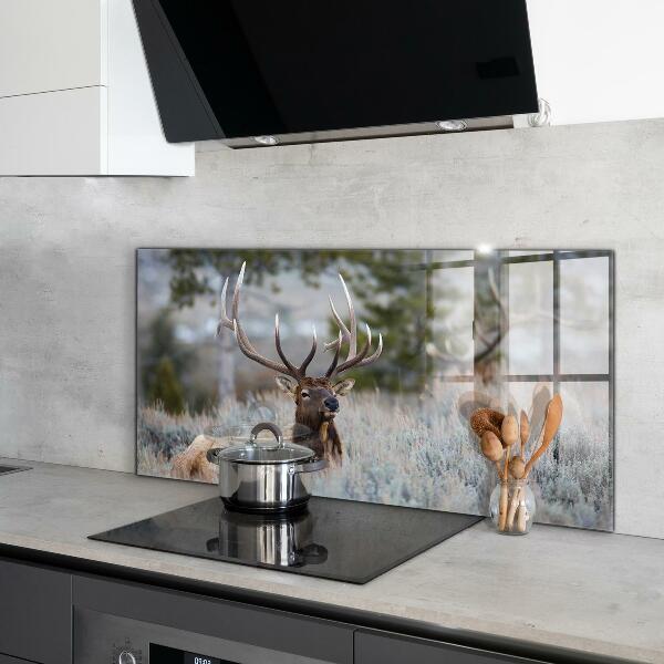 Kitchen wall panels Deer wildlife