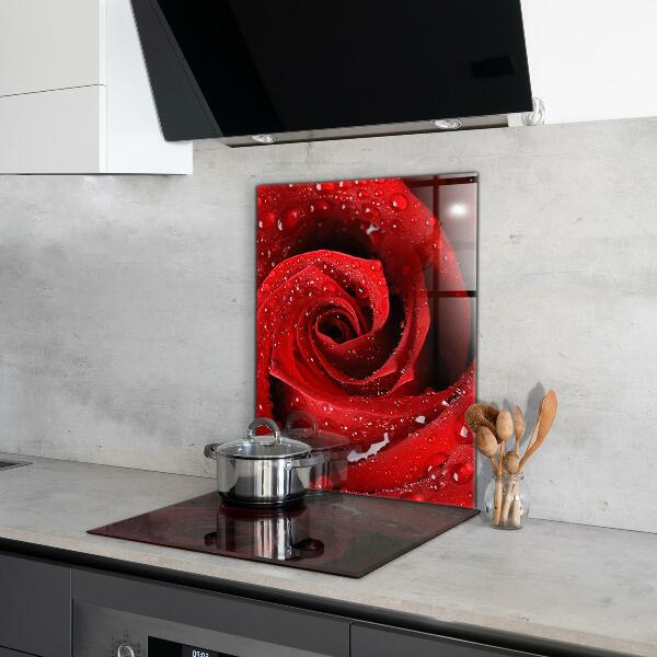 Kitchen wall panels Dew drops on a red rose