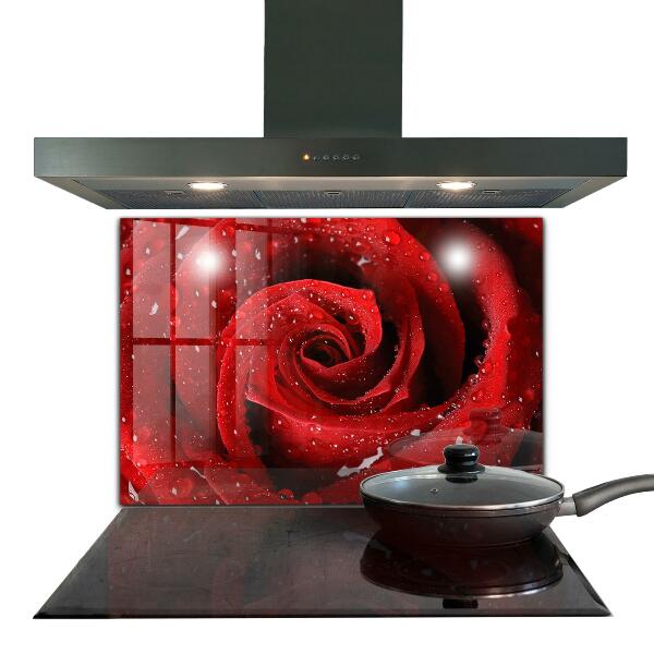 Kitchen wall panels Dew drops on a red rose