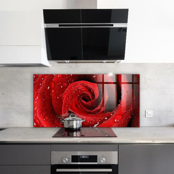 Kitchen wall panels Dew drops on a red rose