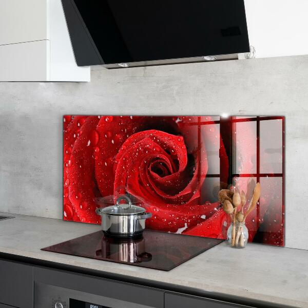 Kitchen wall panels Dew drops on a red rose