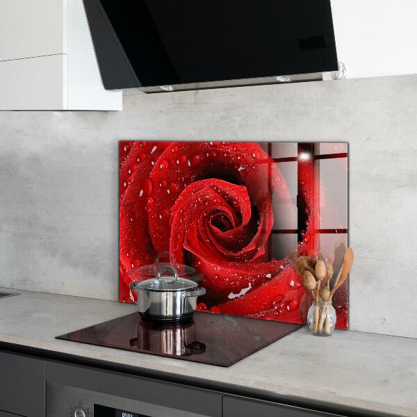 Kitchen wall panels Dew drops on a red rose