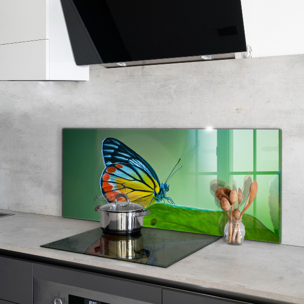 Kitchen wall panels Butterfly resting on a leaf