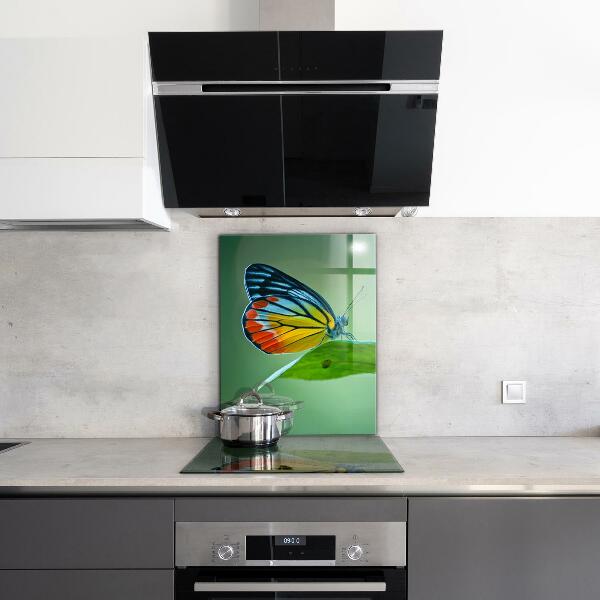 Kitchen wall panels Butterfly resting on a leaf