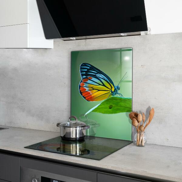 Kitchen wall panels Butterfly resting on a leaf