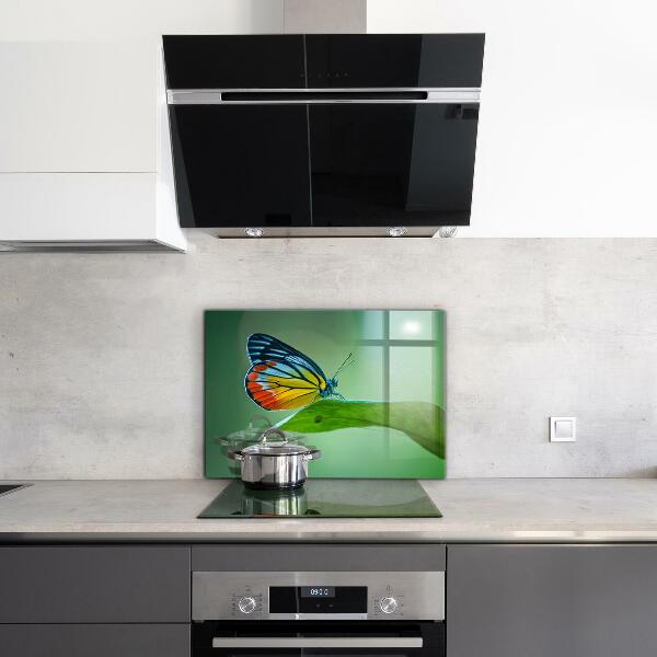 Kitchen wall panels Butterfly resting on a leaf