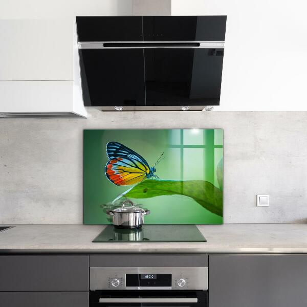 Kitchen wall panels Butterfly resting on a leaf