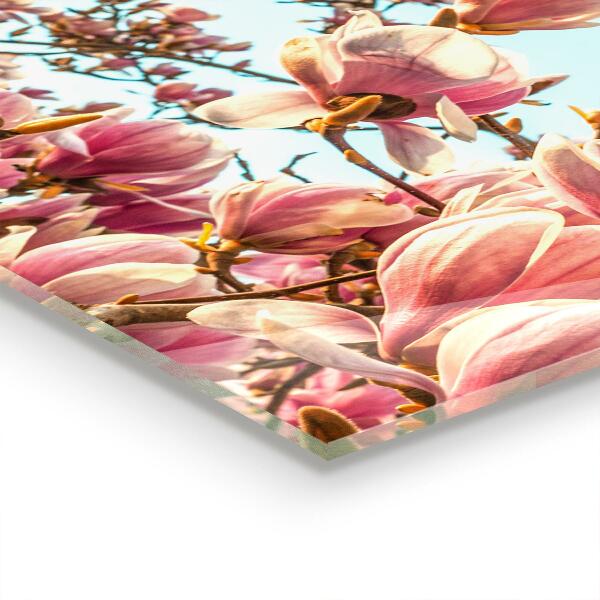 Kitchen wall panels Blooming magnolia