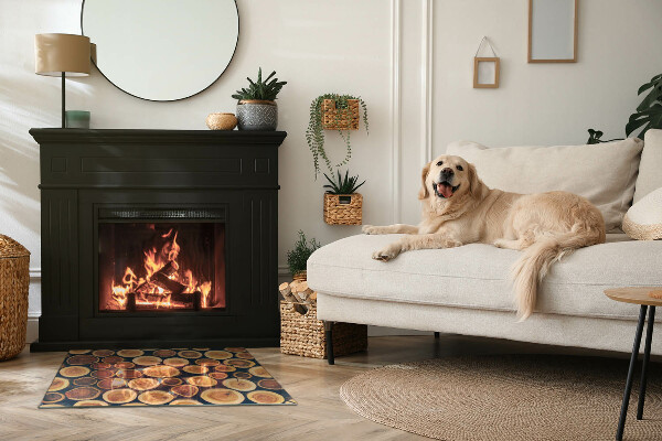 Rectangular glass hearth for wood stove Box with cut wood