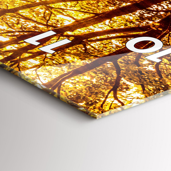 Modern vertical wall clock Forest landscape in the sun