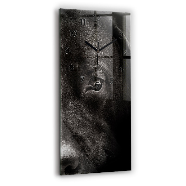 Modern vertical wall clock Scottish Fold Dog and Cat