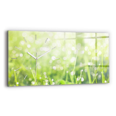 Glass wall clock rectangular Green grass