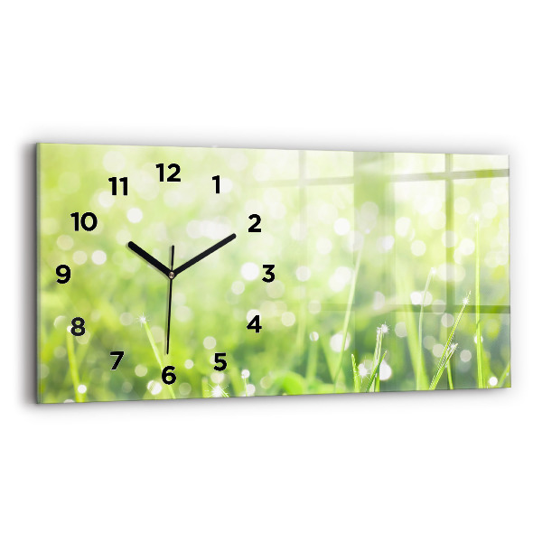 Glass wall clock rectangular Green grass