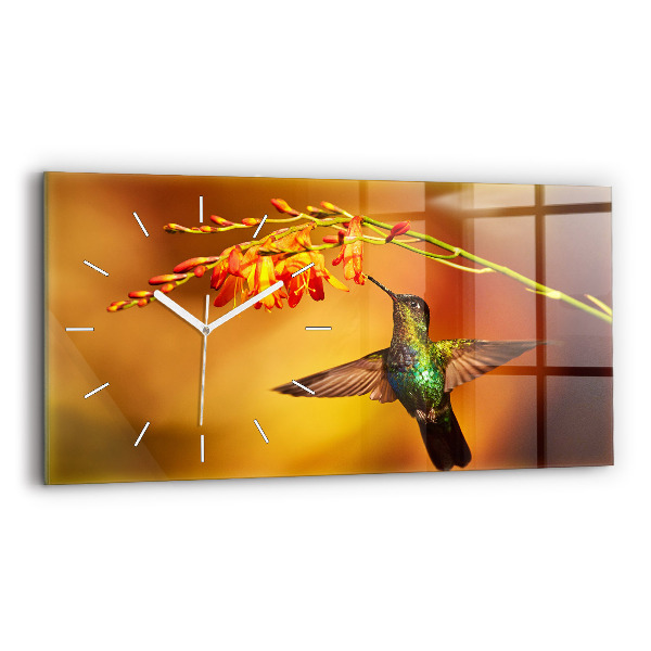 Glass wall clock rectangular Hummingbird Bird