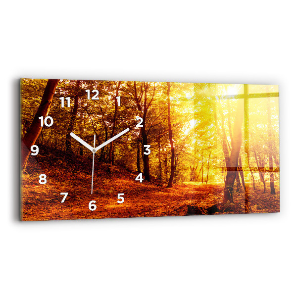 Glass wall clock rectangular Forest landscape in the sun