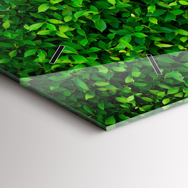 Glass wall clock rectangular Hedge leaves