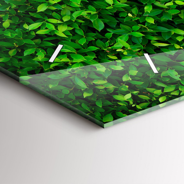 Glass wall clock rectangular Hedge leaves