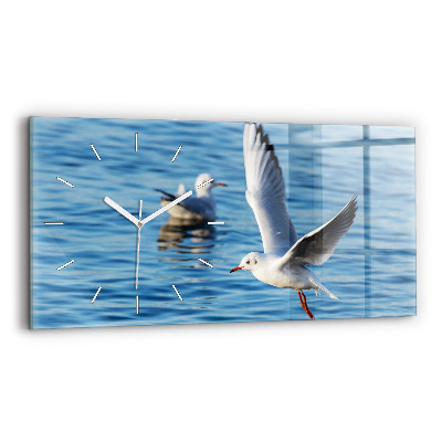 Glass wall clock rectangular Seagulls in Gdynia