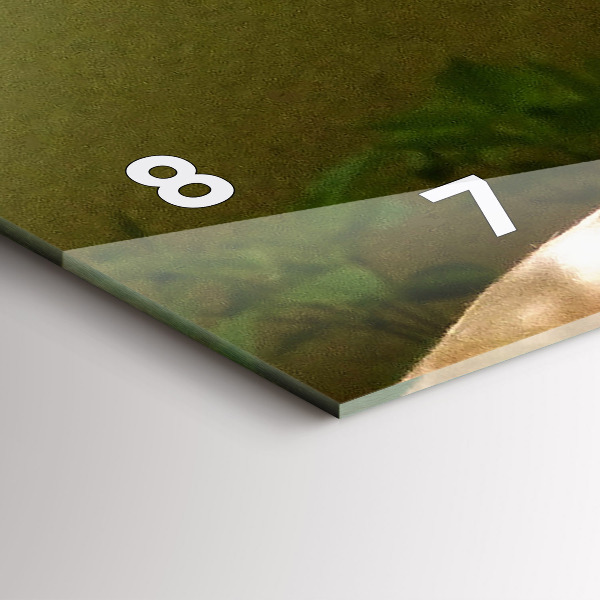 Glass wall clock rectangular Portrait of a Lion