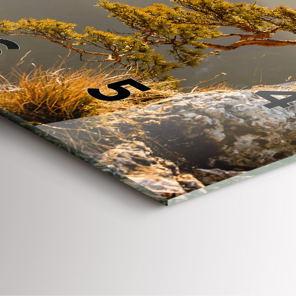 Square glass wall clock A tree in the mountains