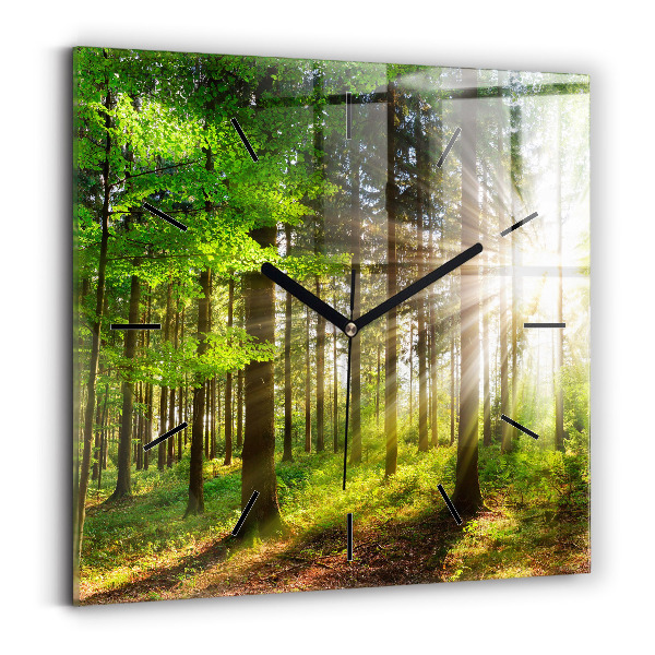 Square glass wall clock Forest sunrise