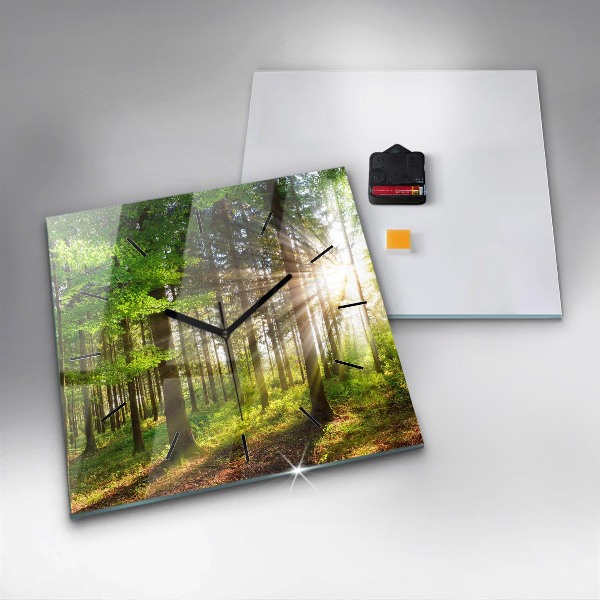 Square glass wall clock Forest sunrise