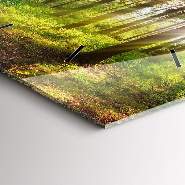 Square glass wall clock Forest sunrise