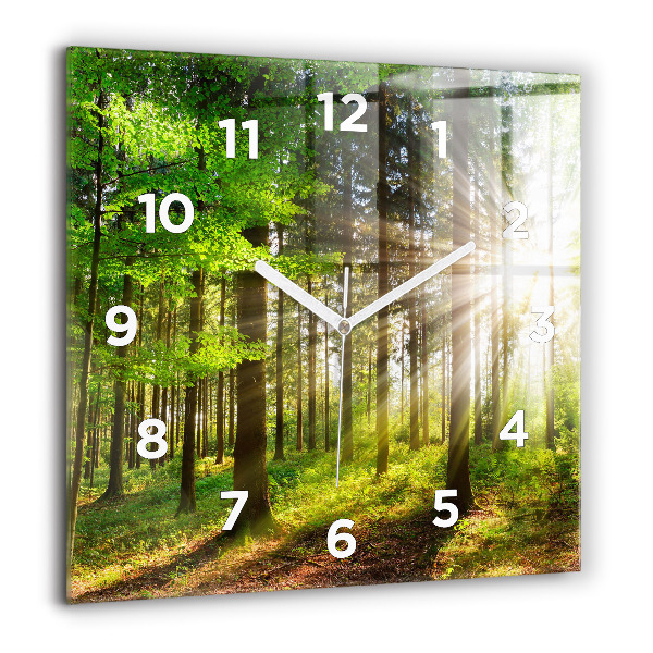 Square glass wall clock Forest sunrise