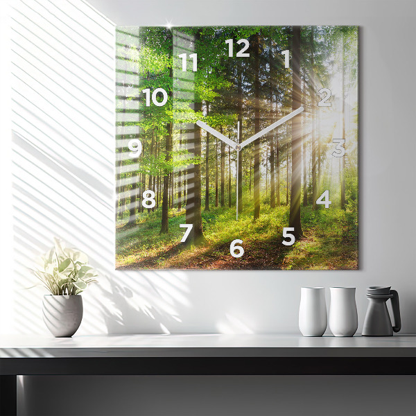 Square glass wall clock Forest sunrise