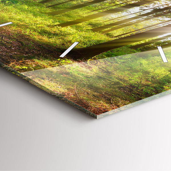 Square glass wall clock Forest sunrise