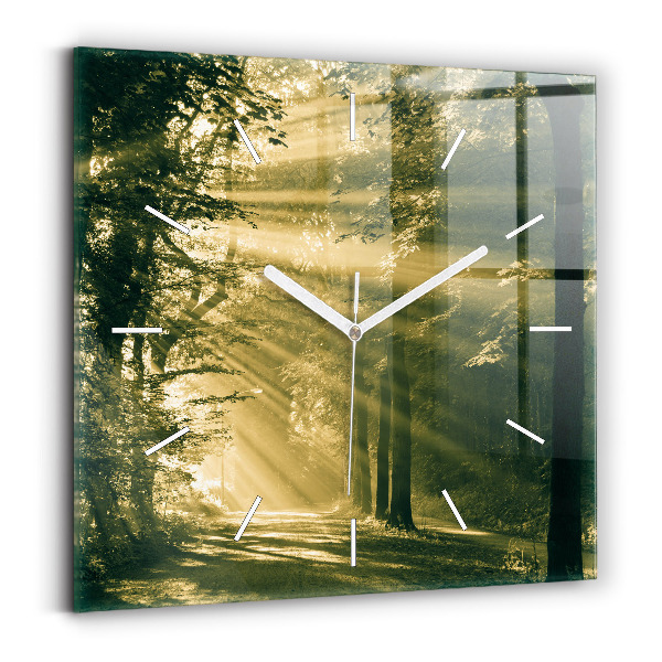 Square glass wall clock Sun Rays Forest